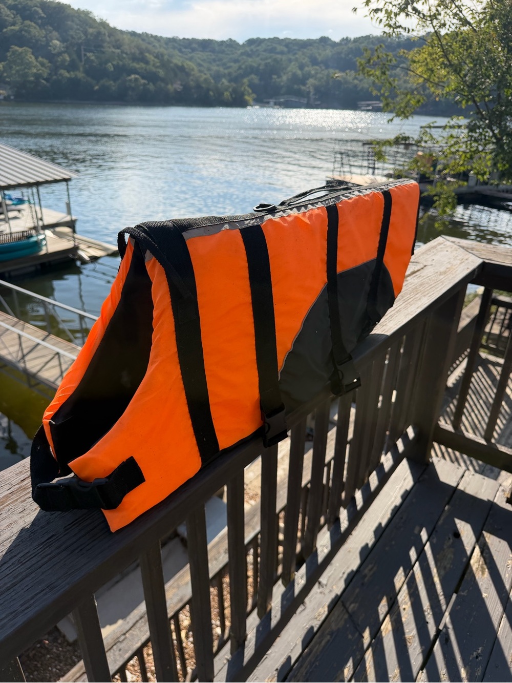 Safety Orange Dog Life Jacket with Black Straps - Large Breed